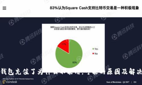 数字钱包充值了为什么不能用，可能的原因及解决方法