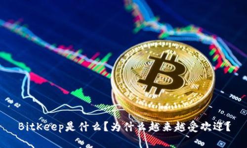 BitKeep是什么？为什么越来越受欢迎？