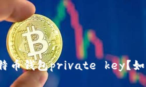 什么是比特币钱包private key？如何保护它？