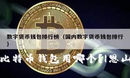 存放比特币钱包用哪个？|恩山论坛