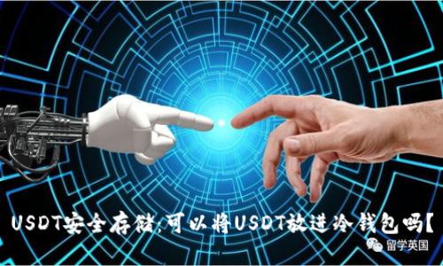 USDT安全存储：可以将USDT放进冷钱包吗？