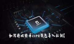  如何将比特币core钱包导入