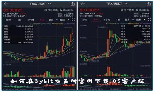 如何在Bybit交易所官网下载iOS客户端