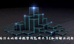 为什么比特币数字钱包用