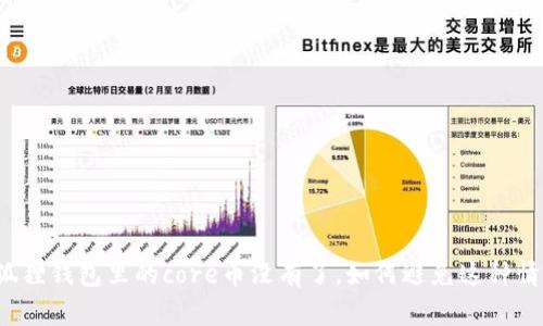 小狐狸钱包里的core币没有了，如何避免这种情况？