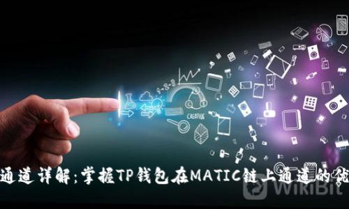 TP钱包MATIC通道详解：掌握TP钱包在MATIC链上通道的优势和使用方法