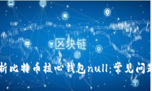 深度解析比特币核心钱包null：常见问题全解析