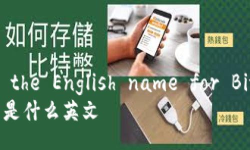 Title: What is the English name for Bitcoin wallet? 
比特币钱包名称是什么英文