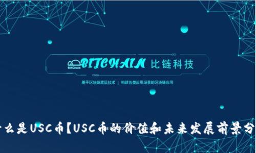 什么是USC币？USC币的价值和未来发展前景分析