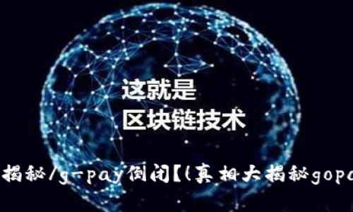 g-pay倒闭？！真相大揭秘/g-pay倒闭？！真相大揭秘gopay,倒闭/guanjianci