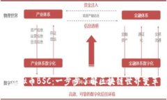 虚拟币BSC：一步步了解区