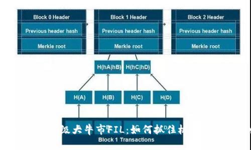 币圈2024年超级大牛市FIL：如何抓住机遇赚取超高收益