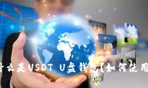 什么是USDT U盘钱包？如何使用？