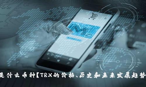 TRX是什么币种？TRX的价格、历史和未来发展趋势分析