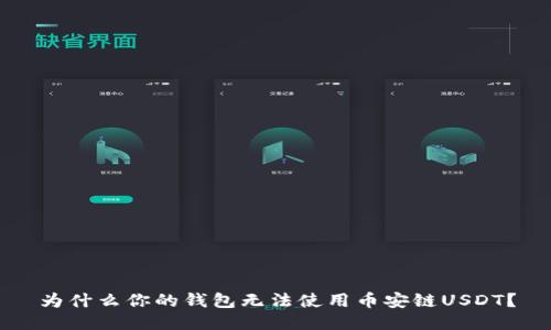 为什么你的钱包无法使用币安链USDT？