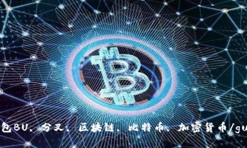 比特币钱包BU, 分叉, 区块链, 比特币, 加密货币/guanjianci