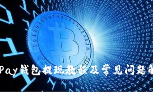 KDPay钱包提现教程及常见问题解答