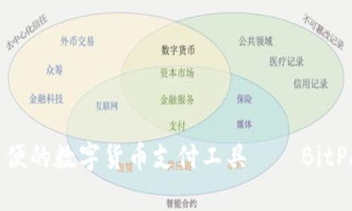 安全简便的数字货币支付工具——BitPay下载