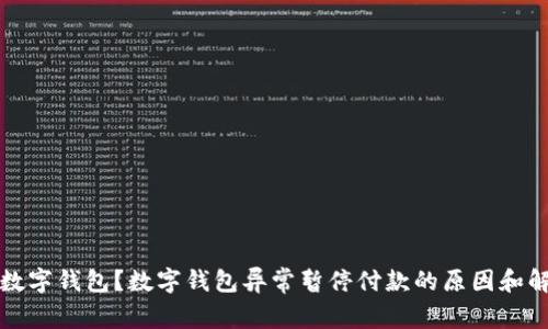 什么是数字钱包？数字钱包异常暂停付款的原因和解决方法