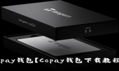 如何下载Copay钱包？Copay钱