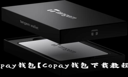 如何下载Copay钱包？Copay钱包下载教程及使用技巧