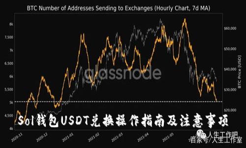 Sol钱包USDT兑换操作指南及注意事项