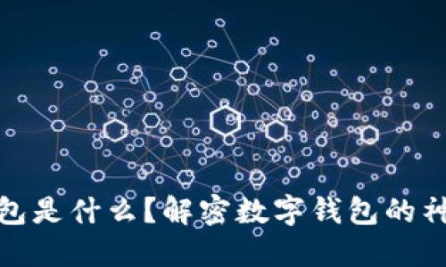 数字钱包是什么？解密数字钱包的神秘面纱