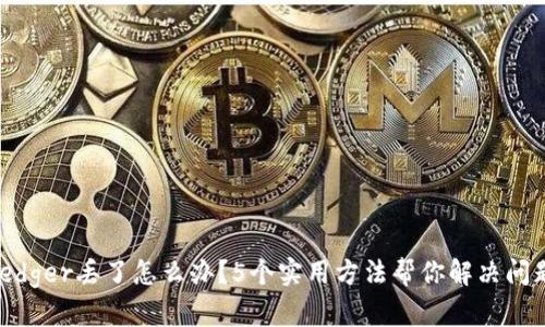 ledger丢了怎么办？5个实用方法帮你解决问题