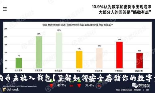 狗狗币未放入钱包？了解如何安全存储你的数字资产