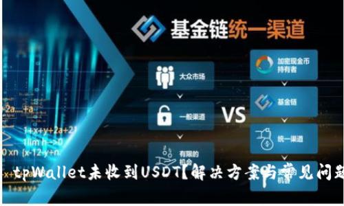 标题: tpWallet未收到USDT？解决方案与常见问题汇总