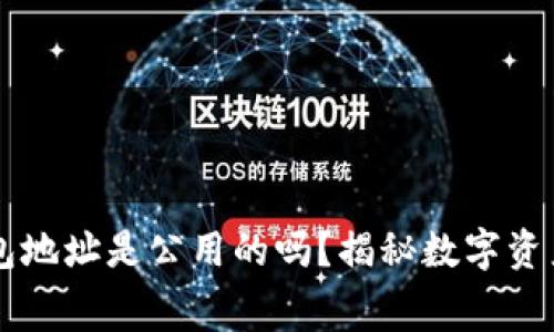 交易所的钱包地址是公用的吗？揭秘数字资产存储的内幕