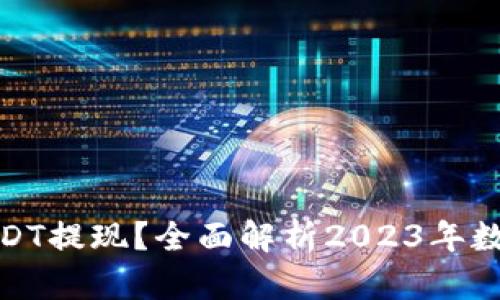 哪些钱包支持USDT提现？全面解析2023年数字货币钱包选择