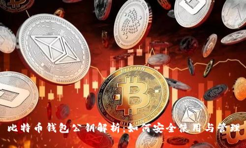 比特币钱包公钥解析：如何安全使用与管理