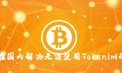 如何在国内解决无法使用Tokenim的问题