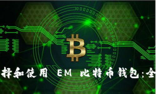 如何选择和使用 EM 比特币钱包：全面指南