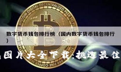 比特币钱包图片大全下载：挑选最佳钱包的指南