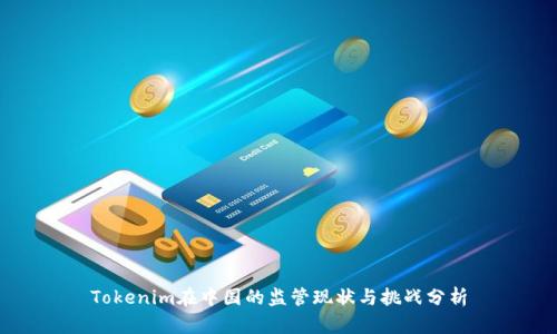 Tokenim在中国的监管现状与挑战分析