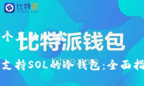 思考出一个且的优质

如何选择支持SOL的冷钱包：全面指南与推荐