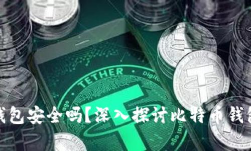 存比特币钱包安全吗？深入探讨比特币钱包的安全性