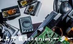   如何在iOS设备上下载Tokenim：一步一步的详细指