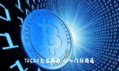 TRC20充值指南：从入门到精