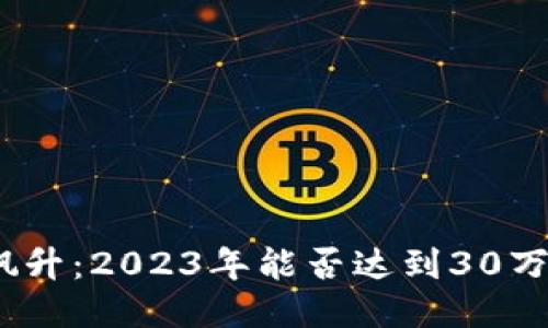 Pi币价值飙升：2023年能否达到30万美元一枚？