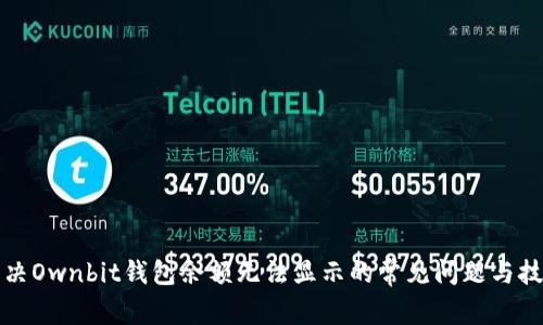 解决Ownbit钱包余额无法显示的常见问题与技巧