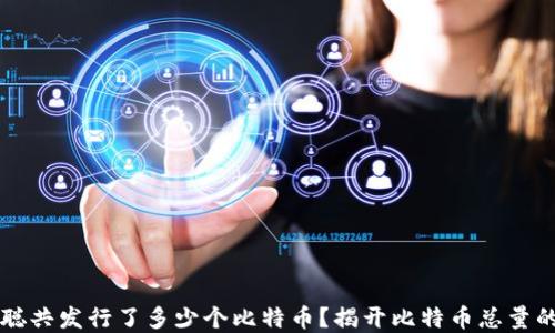 
中本聪共发行了多少个比特币？揭开比特币总量的秘密