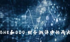 深入解析BHE和DDO：财务测