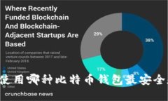 中国人使用哪种比特币钱