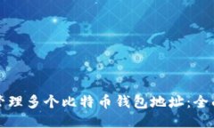 如何管理多个比特币钱包