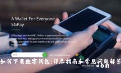 如何下载数字钱包：详尽