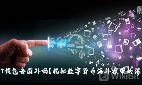 可以带USDT钱包去国外吗？揭秘数字货币海外携带的法律与实用性
