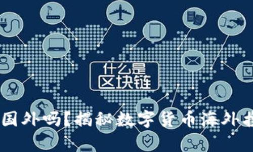 可以带USDT钱包去国外吗？揭秘数字货币海外携带的法律与实用性